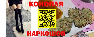 гидропоника Славгород