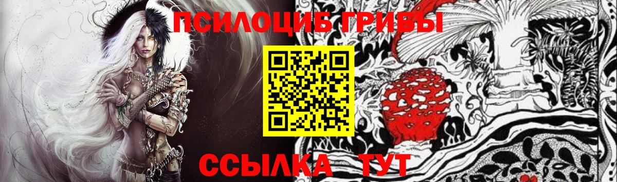 Псилоцибиновые грибы прущие грибы Сальск