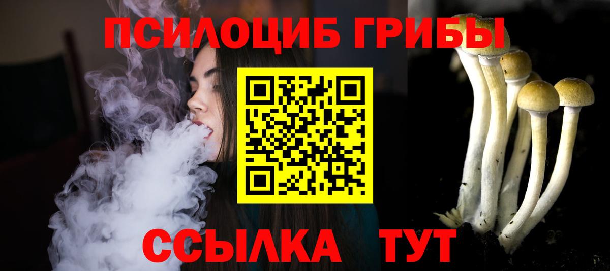 Галлюциногенные грибы Magic Shrooms  Вход с VPN  как найти закладки  Галлюциногенные грибы Magic Shrooms  Сальск 