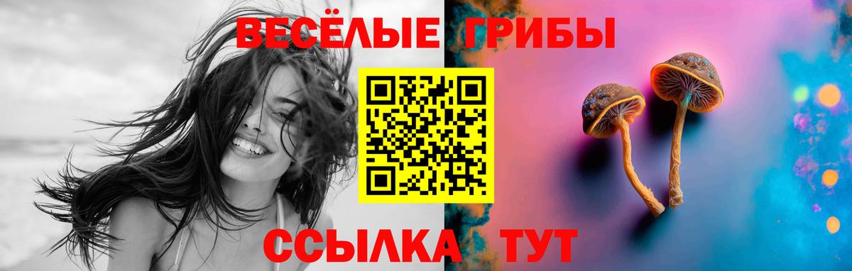 ГАШИШ  ЭКСТАЗИ  Бошки Шишки  APVP СК кристаллы  Меф МЯУ МЯУ кристаллы  Сальск  Вход с VPN  Мефедрон 